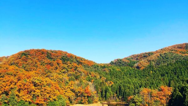 糸魚川の現場作業